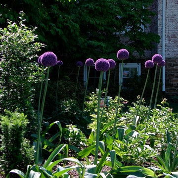 Project Spring Surprise
