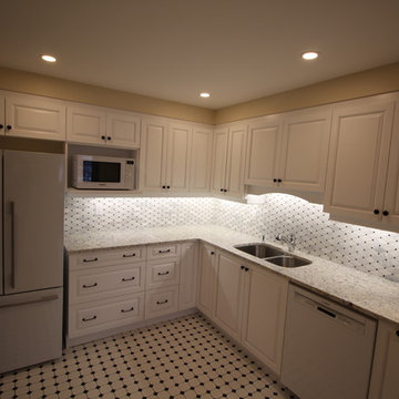 Queen Elizabeth Condo Renovation