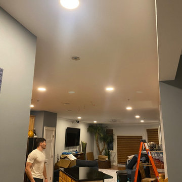 Electrical Lights and Other