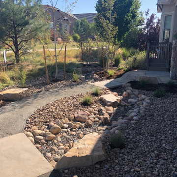 Broomfield Xeriscape 2