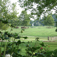 backyard view