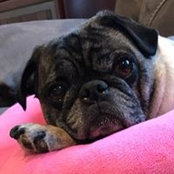 Ruthie Gorham's photo