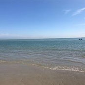 Debbie Bennett's photo