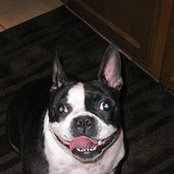 Shelia Bollinger's photo
