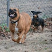 Mark Eubanks's photo