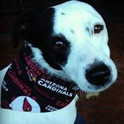 Carrie Ceckanowicz Sweeney's photo
