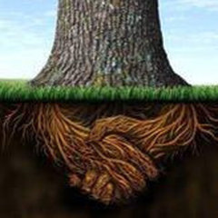 ROOTS