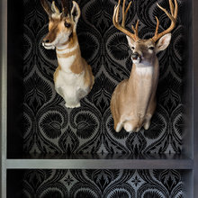 Test New Ideabook
