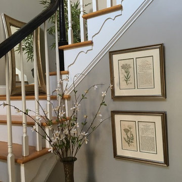 Original Vintage Botanical Prints Framed