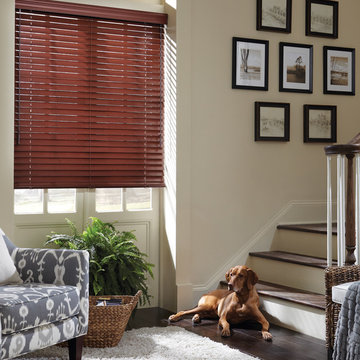 Pet-Safe Blinds & Shades