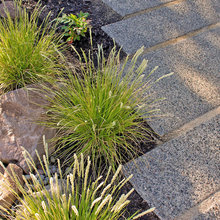 Hardscape