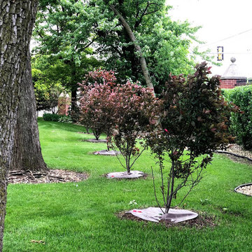 Royal Raindrops® Crabapple