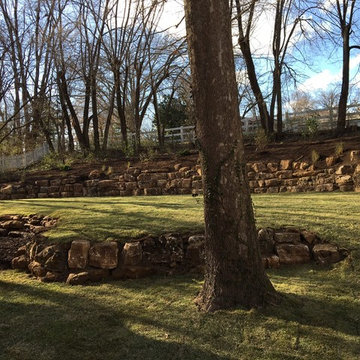 Backyard Transformation
