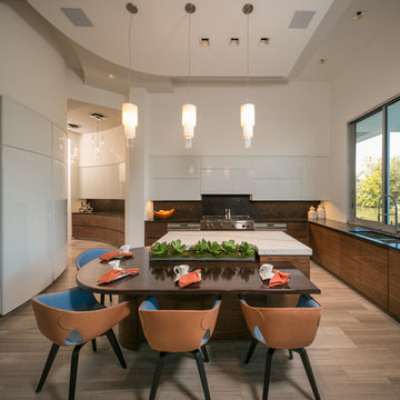 Sugar Land Sleek Contemporary