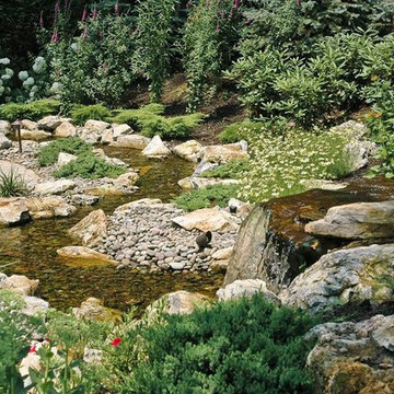 Eliminating Backyard Noise Problems