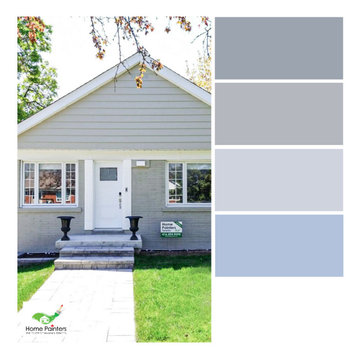 Variety of Color Palettes