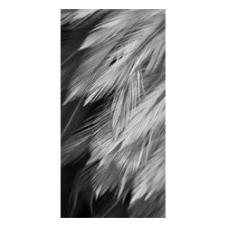 Douglas Page Photographic Arts - Feather Design1 Bw, Canvas Giclee - Prints And Posters