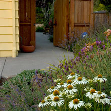 Landscape Ideas
