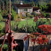 Black Copper Farm