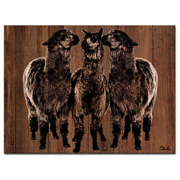 Ready2HangArt Farmhouse 'Alpaca Trio' Wrapped Canvas Animal Wall Art, 20"x16"