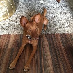 Moduleo Transform Persian Walnut for a lounge diner - Vinyl Flooring