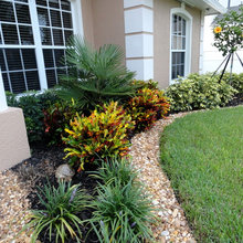 tropical landscape around pool/yard