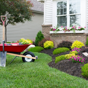 Spring Yard Clean Up