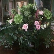 Mary McElwee's photo