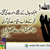 Foto von Asma Memon