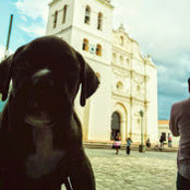 Alex Alfaro's photo