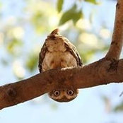 Cherie Miller's photo