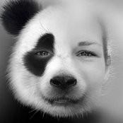 Wibke Spitzner's photo