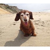 Michael Jacobi's photo
