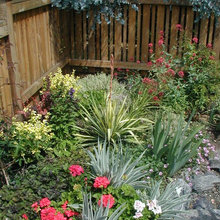Front Yard Fences