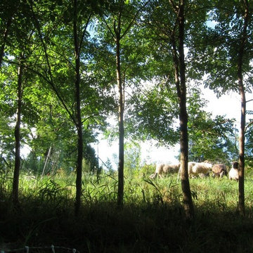 Research Farm - Land