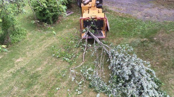 Tree removal