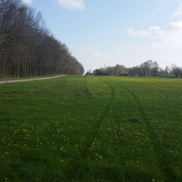 prairie windbreak establishment
