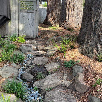Berkeley Hills Redwood Garden
