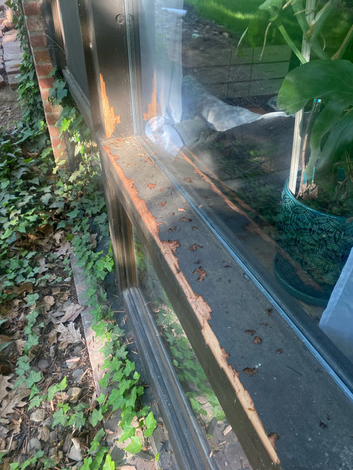 What type of wood filler should I use?