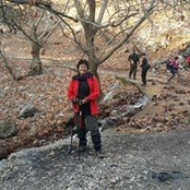 Ayfer Erselcans billede