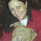 Donna Morelli's photo