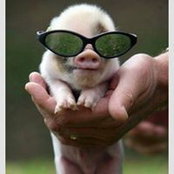 Robert Roe's photo