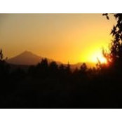 Marsha Martinez's photo
