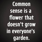 Reta Lewis Bouknight's photo