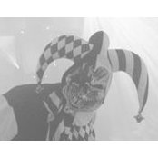 Joe Patrick's photo