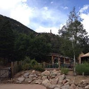 Carol Johnson's photo