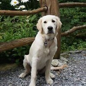 Melissa Lickert's photo