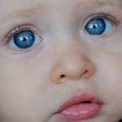 Susan Bolenbaugh's photo