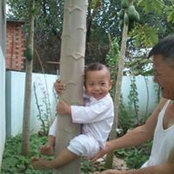 Photo de Tra Giang