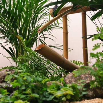 Jardin Zen Moderno
